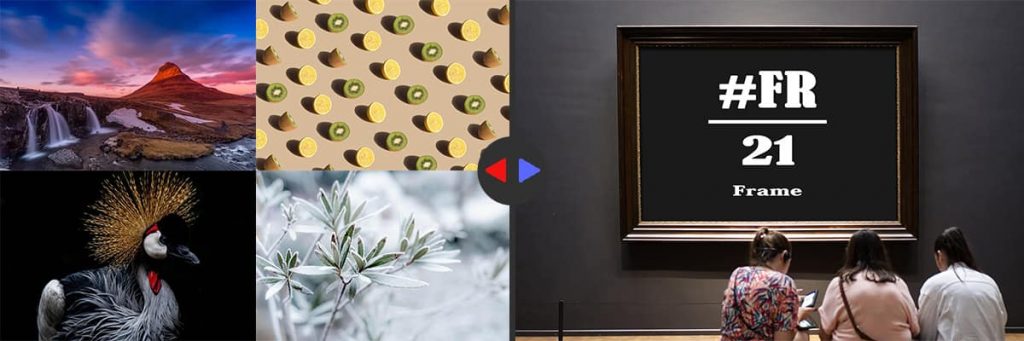 fr-21-frame-top