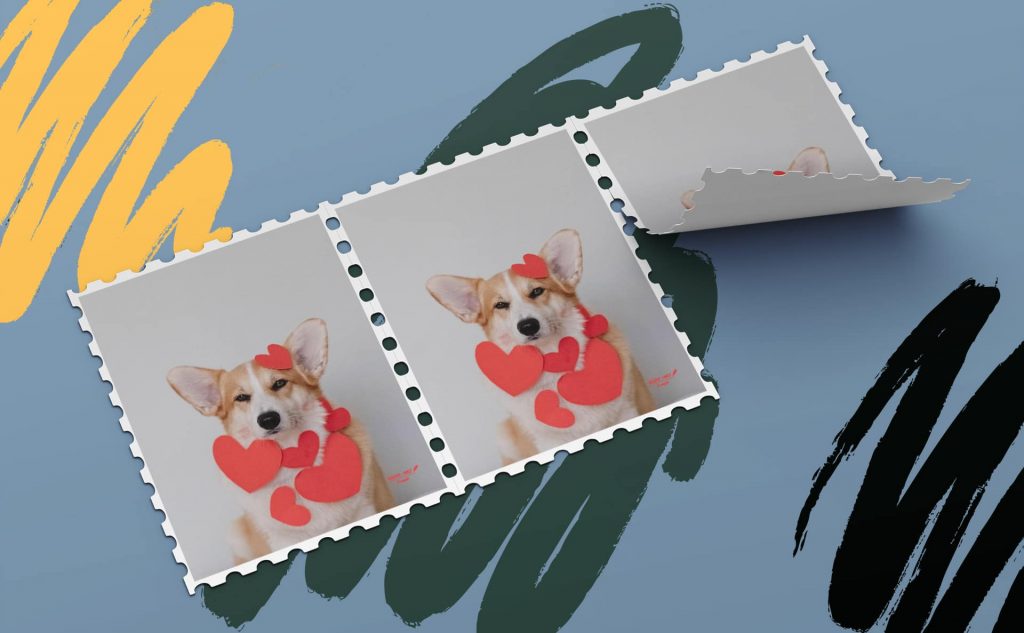 go-22-goods-other-4-new