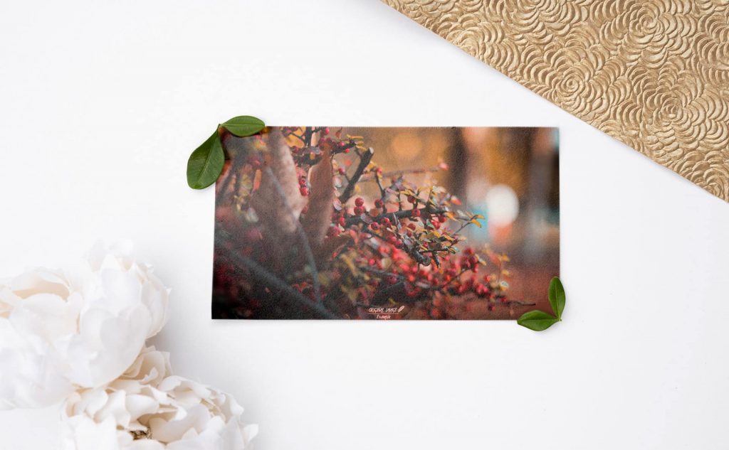 mc-24-message-card-1