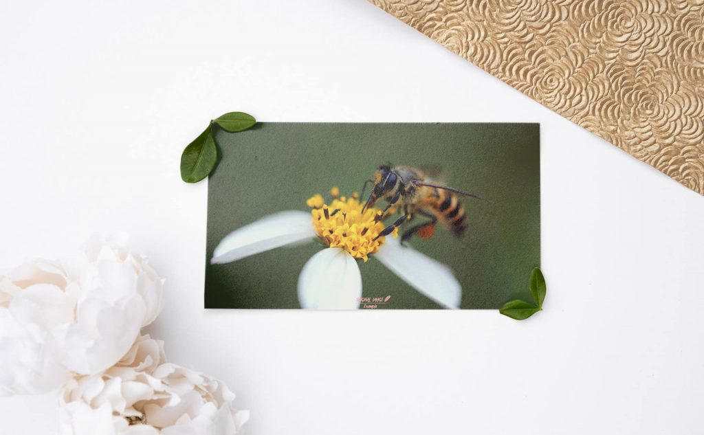 mc-24-message-card-2