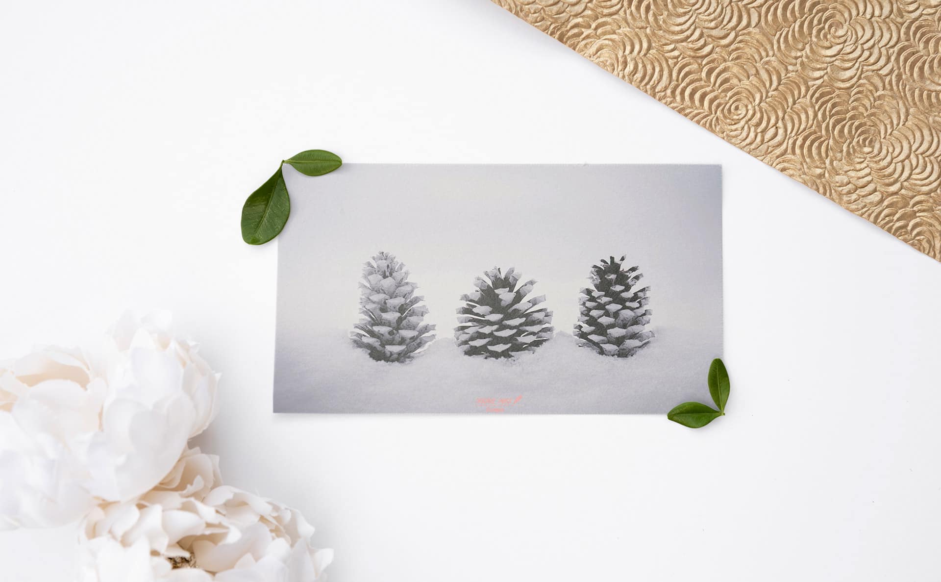 mc-24-message-card-4