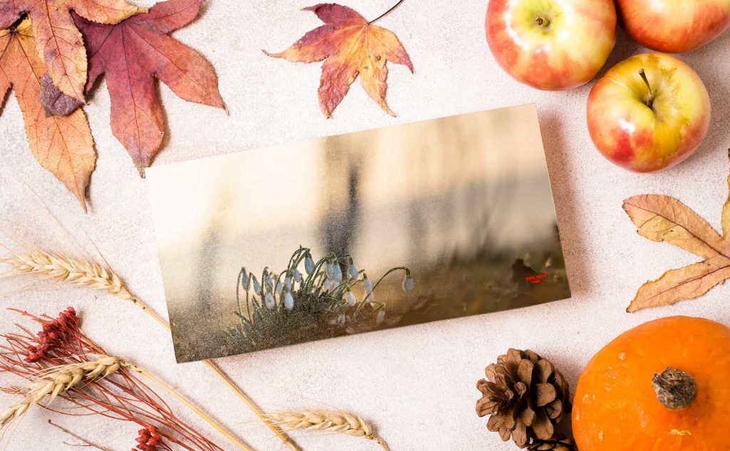 mc-30-message-card-1