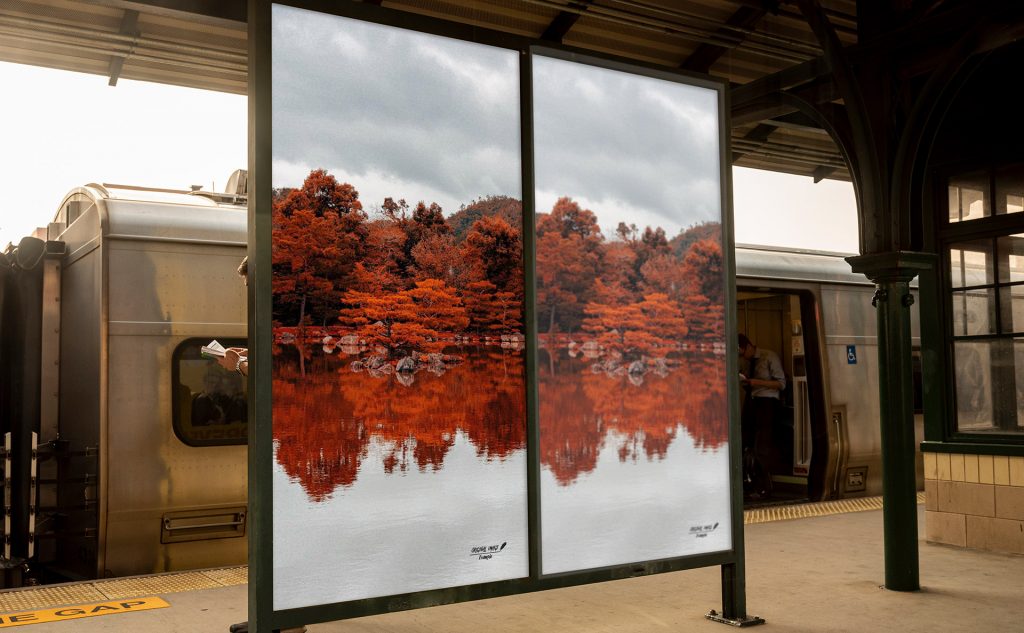 pb-14-poster-banner-2