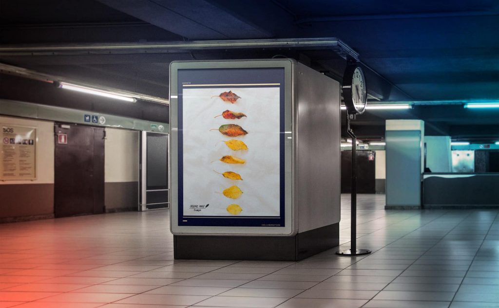 pb-16-poster-banner-2