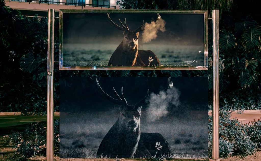 pb-21-poster-banner-1