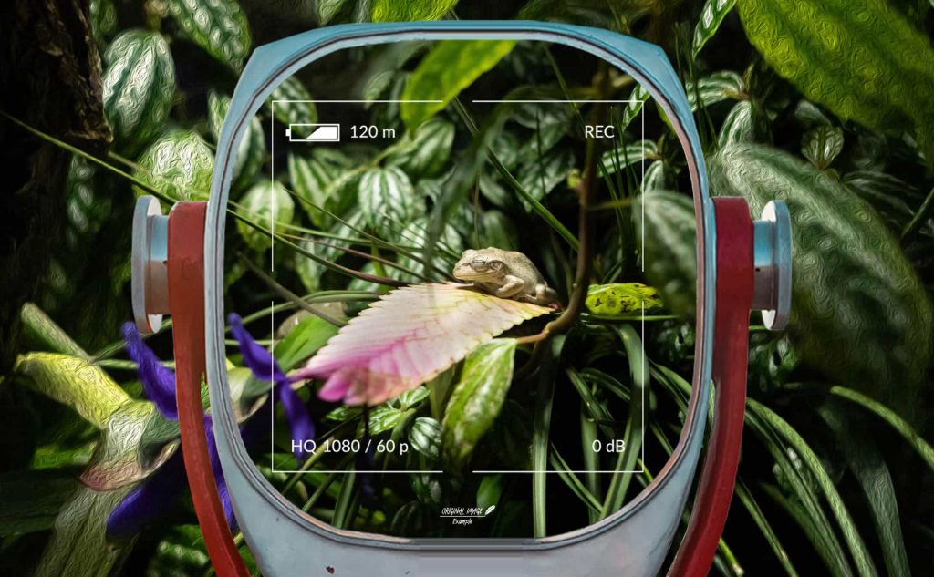 pf-13-photo-finder-2