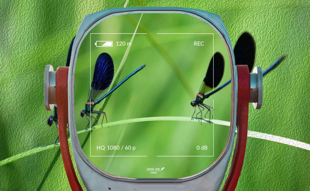 pf-13-photo-finder-3