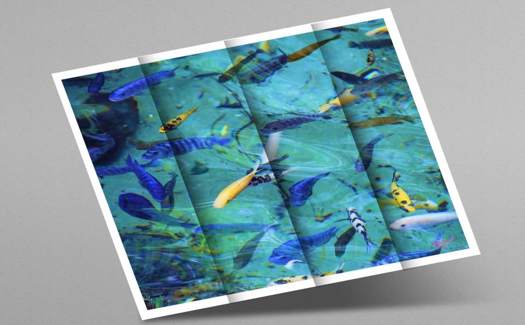 pf-18-photo-finder-4