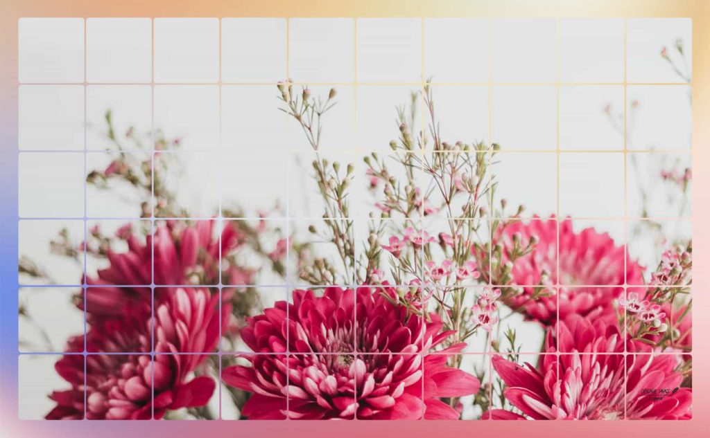 pf-19-photo-finder-3