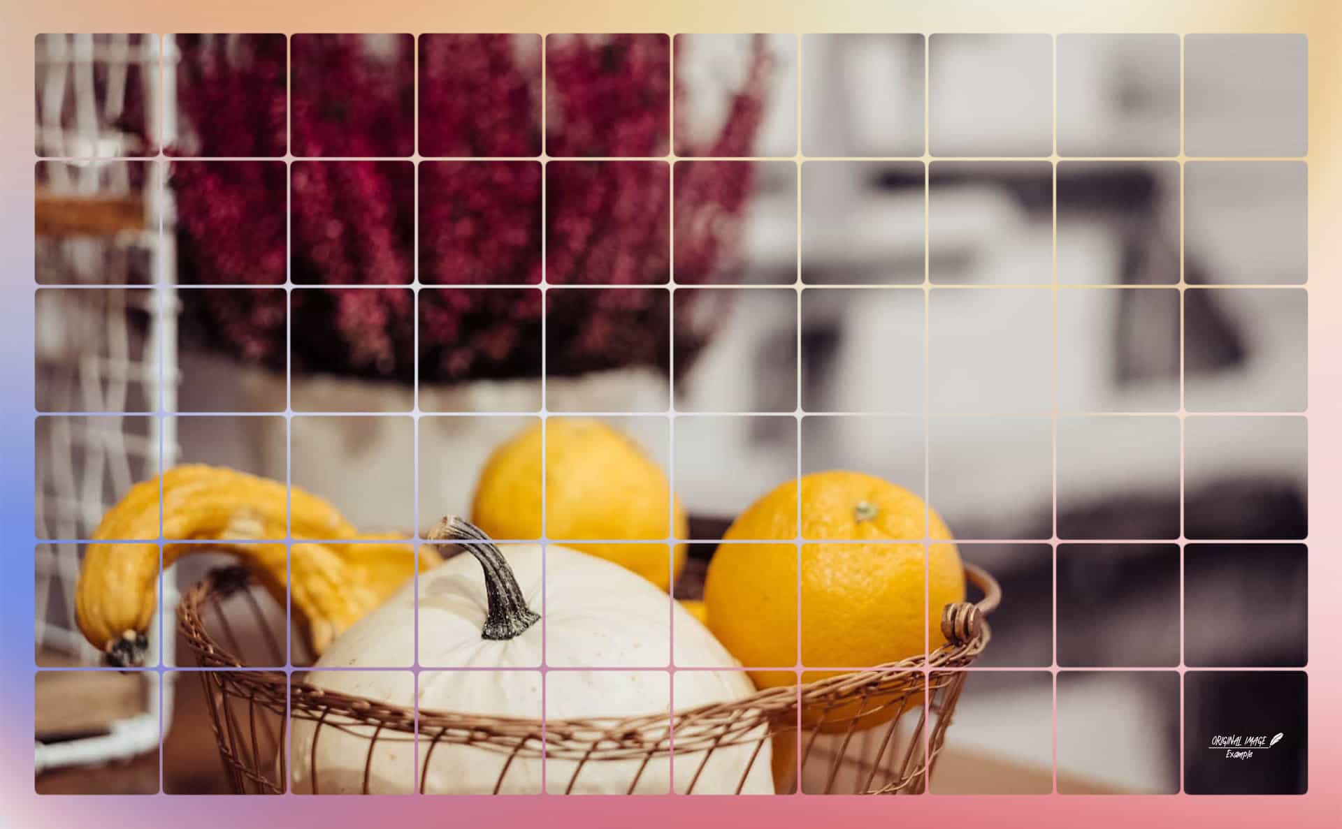 pf-19-photo-finder-4