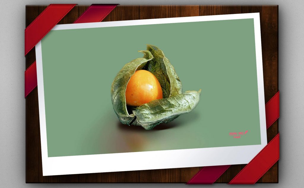 pf-32-photo-finder-2