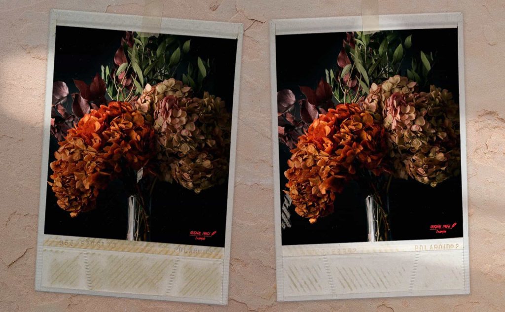 pf-33-photo-finder-1