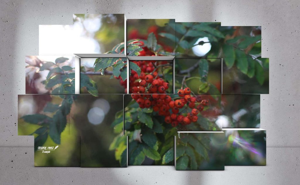 pf-37-photo-finder-2