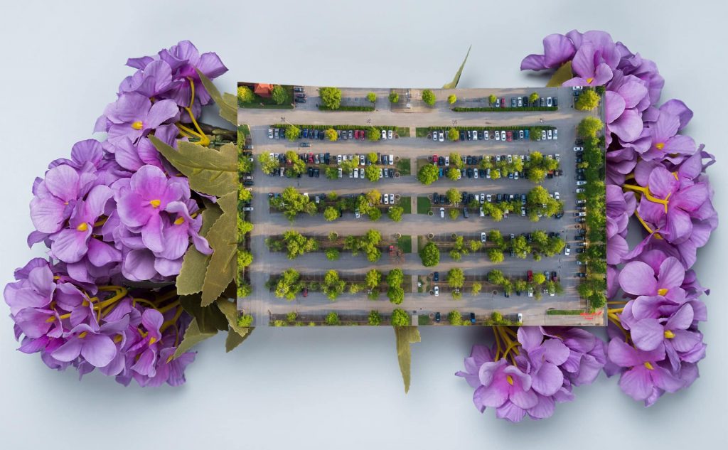 mc-55-message-card-4