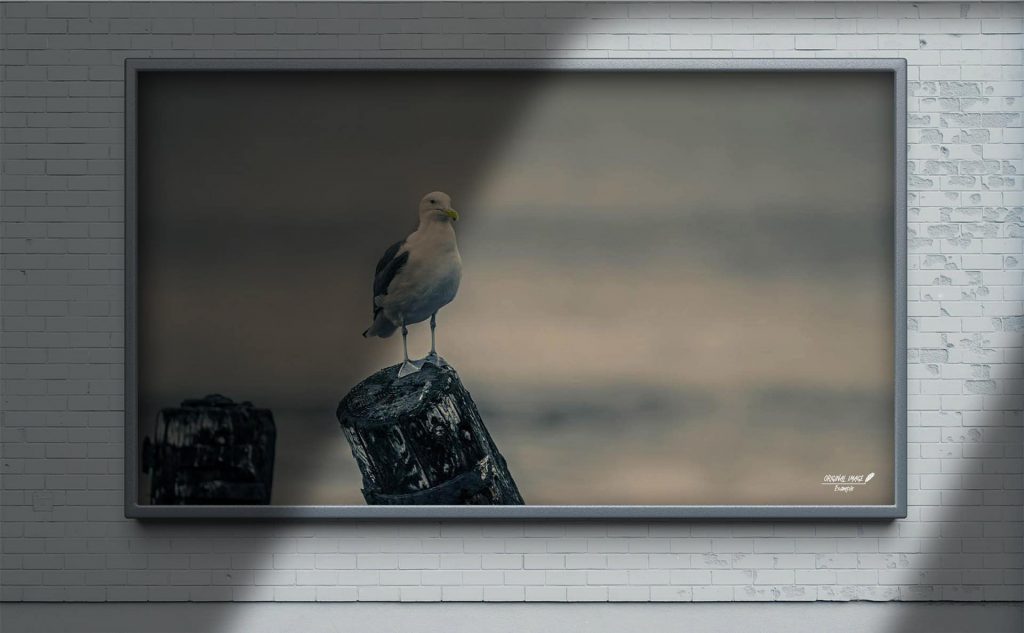 pb-45-poster-banner-4