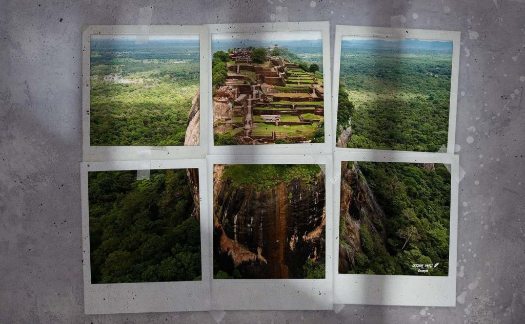 pf-54-photo-finder-1