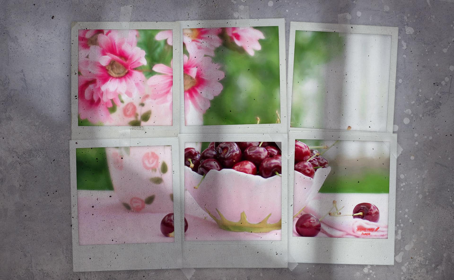 pf-54-photo-finder-2