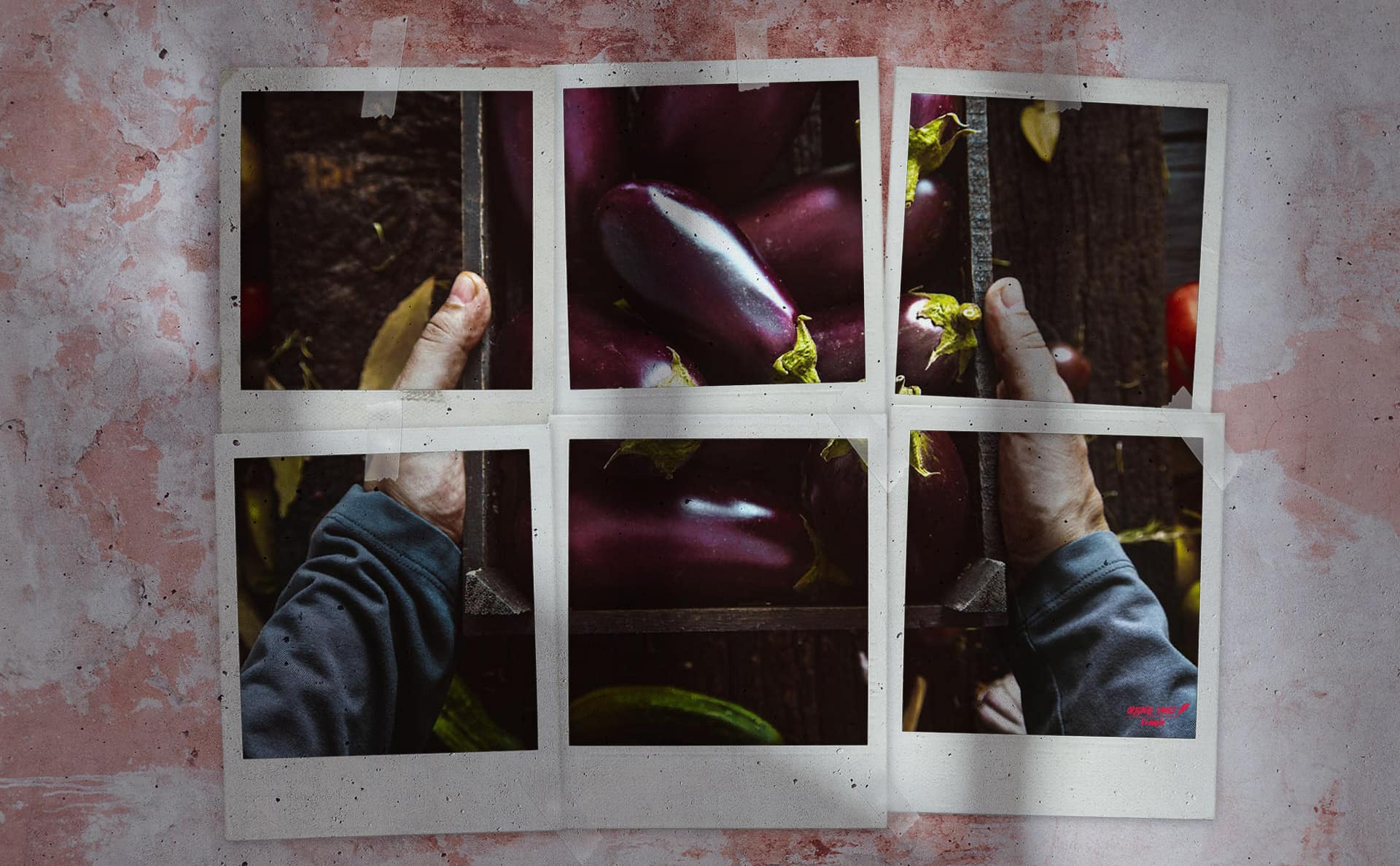 pf-57-photo-finder-1