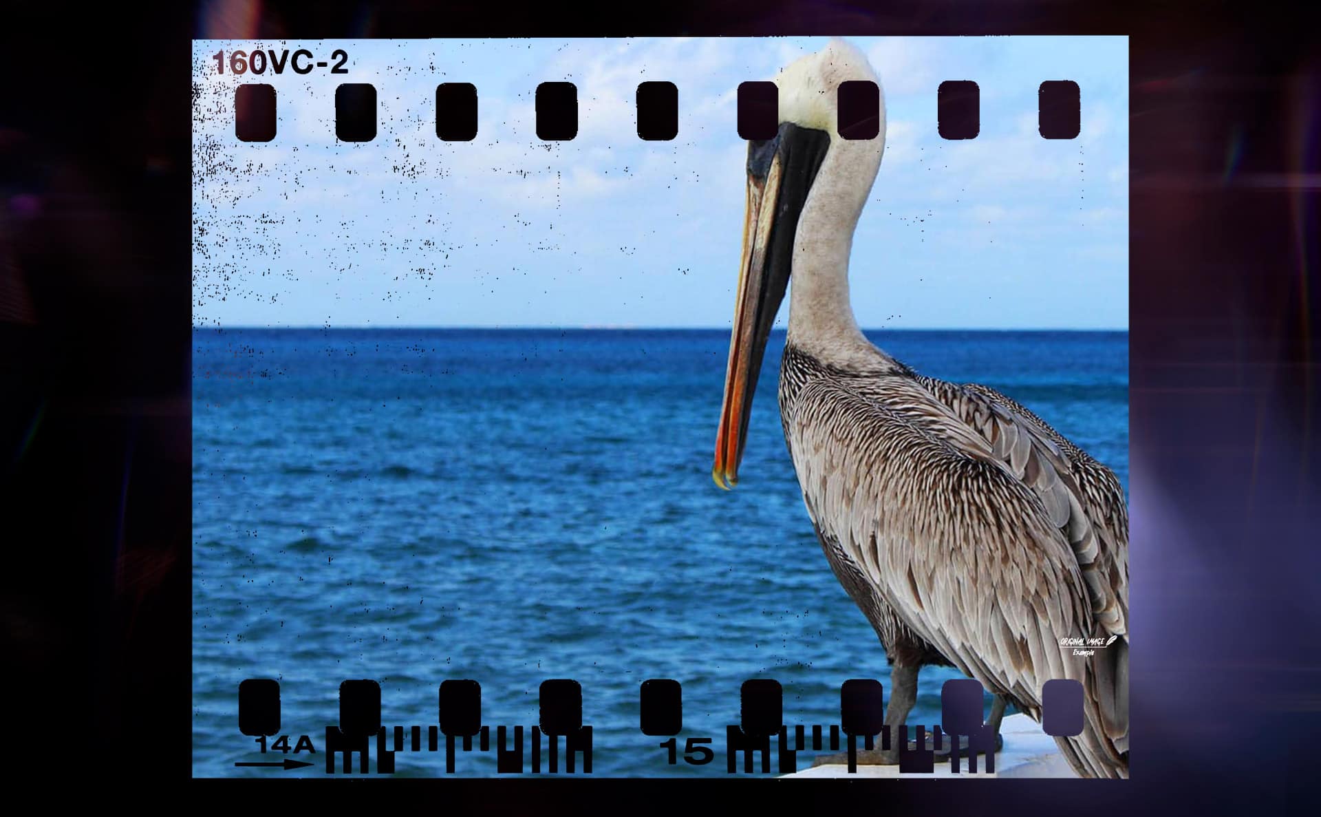 pf-59-photo-finder-2