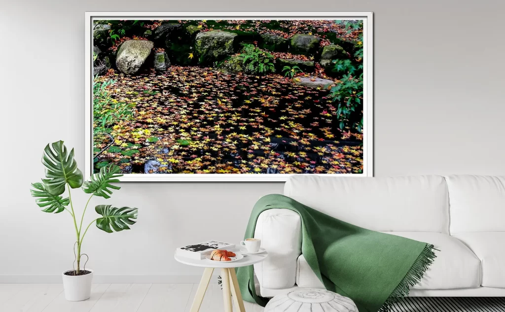 京都　永観堂11月のもみじ