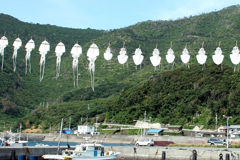 大月町のモイカ一日干し