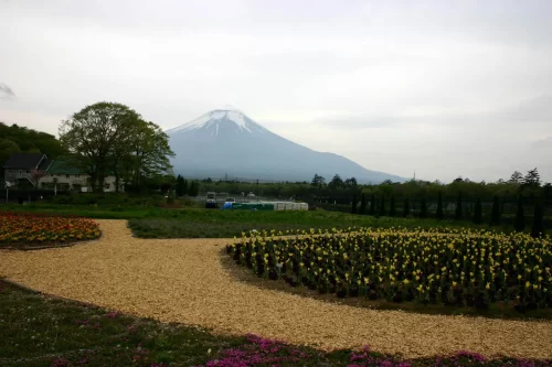 2005-05の富士山