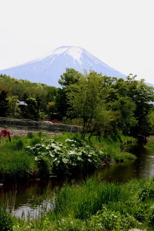 2005-05の富士山